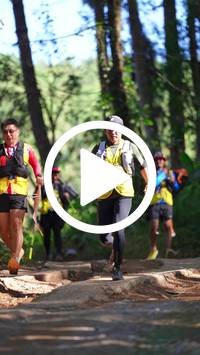 BIB:  <button type="button" onclick="openModal(26787845)" class="btn btn-primary btn-sm float-right" data-toggle="modal" data-target=".modal-high-quality">
                <i class="fa fa-download"></i> Download
                </button>